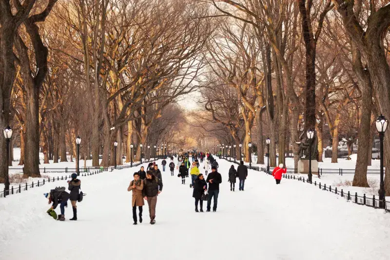 People walking in Central Park in the snow, in Manhattan