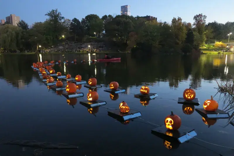 Pumpkin Flotilla. Courtesy, Central Park Conservancy