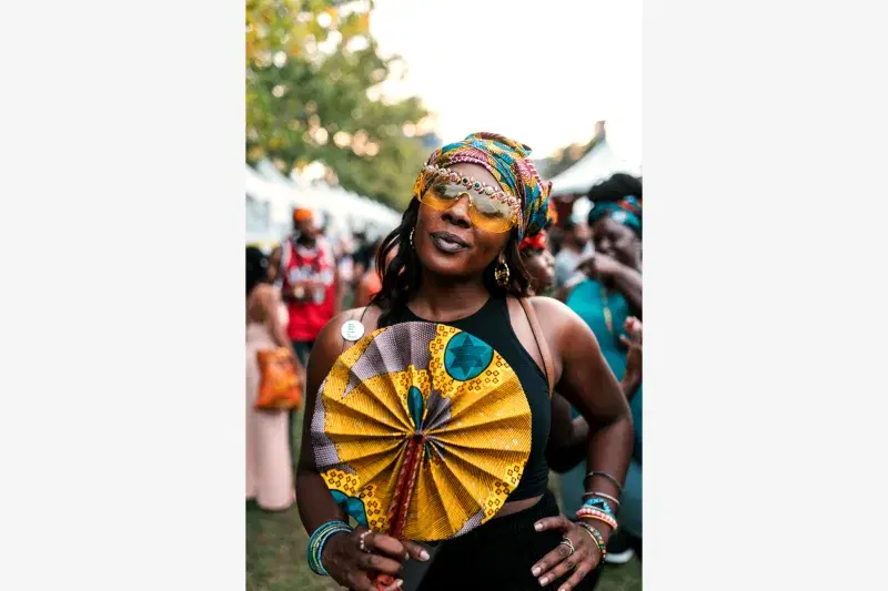 AfroPunk, 2018. Photo: Lionell Gardner